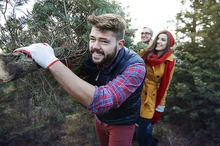 carrying a Christmas tree