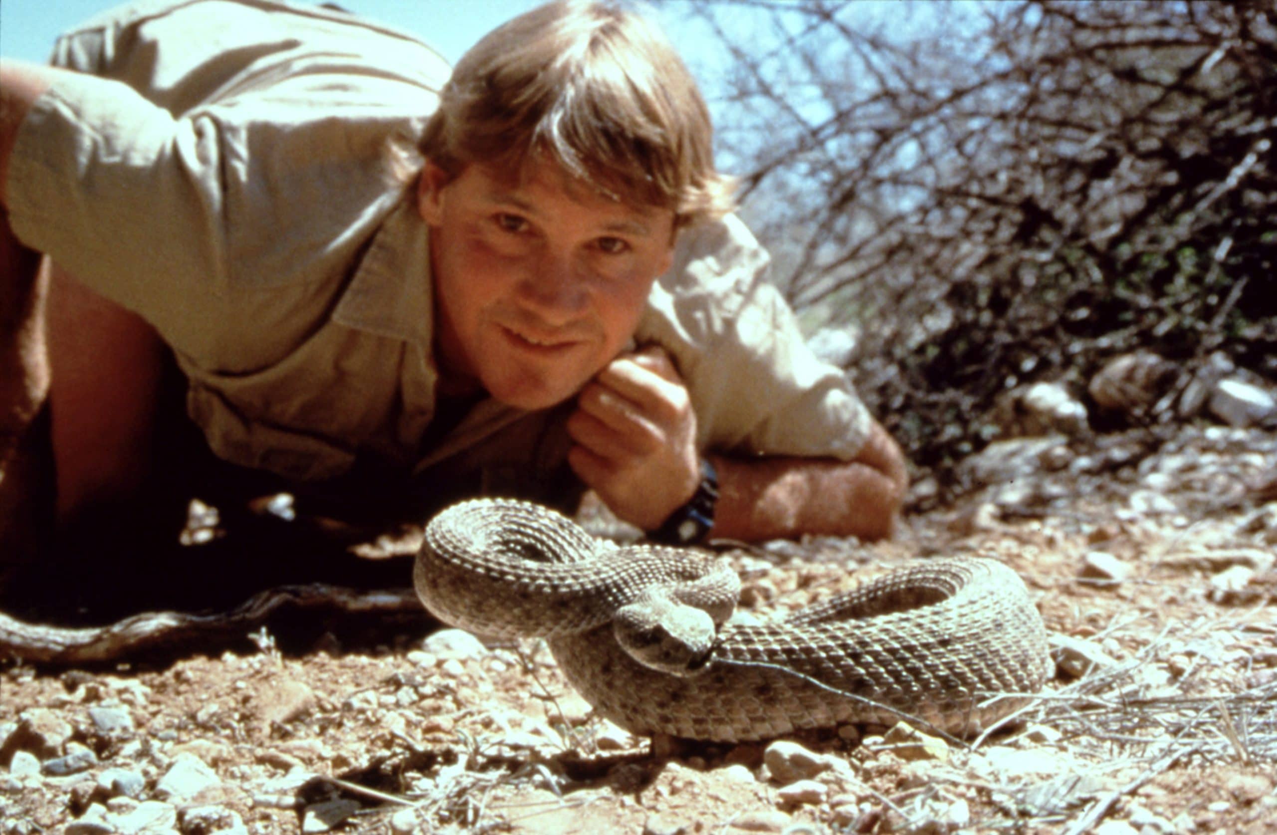 steve irwin