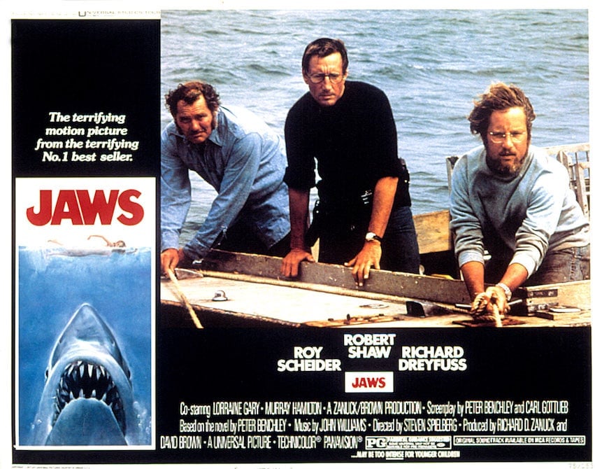 jaws