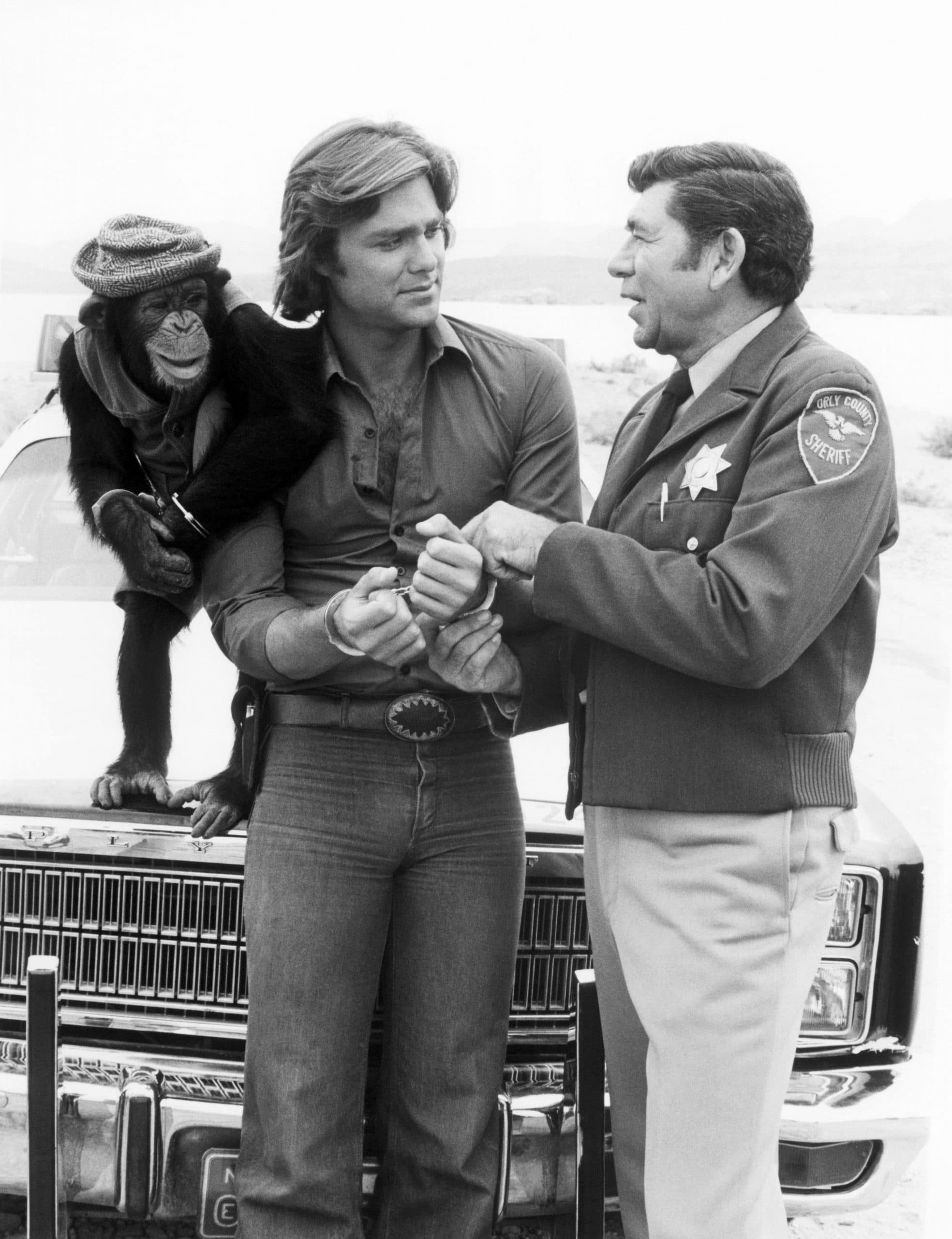 B.J. AND THE BEAR, from left: Sam the Chimp, Greg Evigan, Claude Akins in 'Run For the Money' (Season 2, Episode 6, aired November 3, 1979), 1979-81