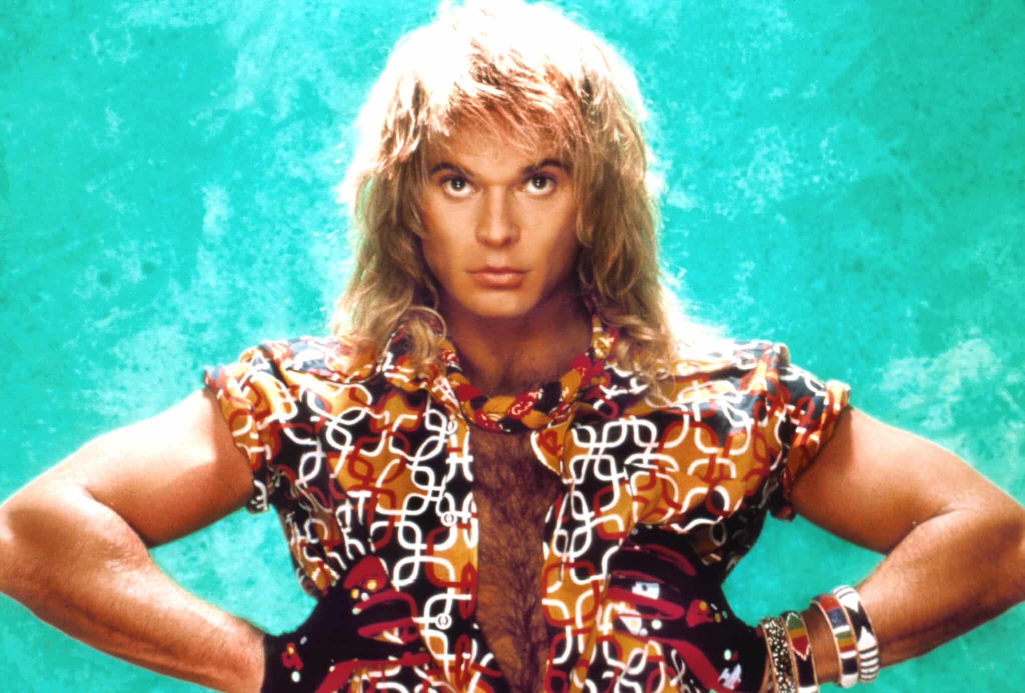 DAVID LEE ROTH, circa 1980s