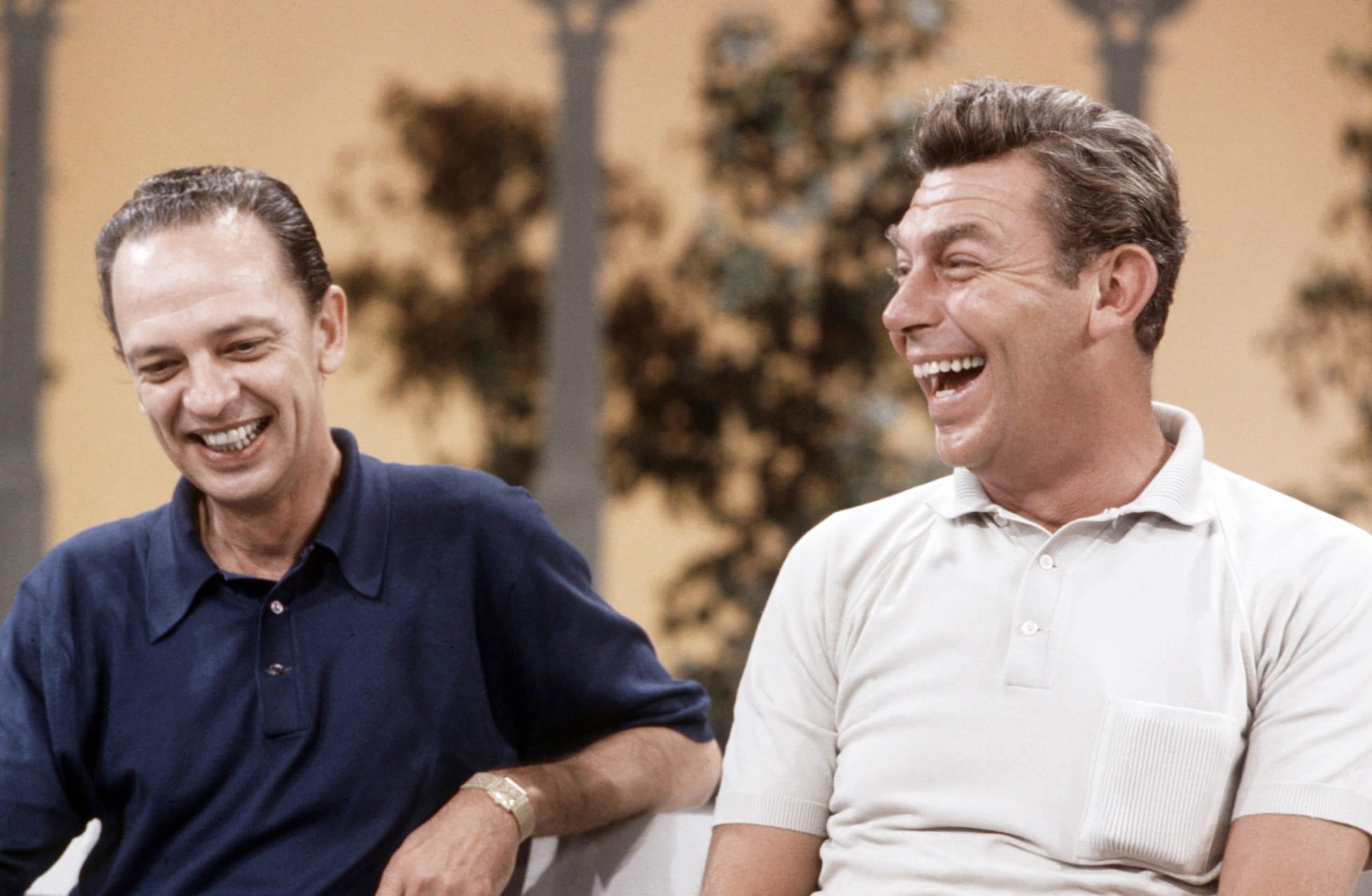 Don Knotts, Andy Griffith