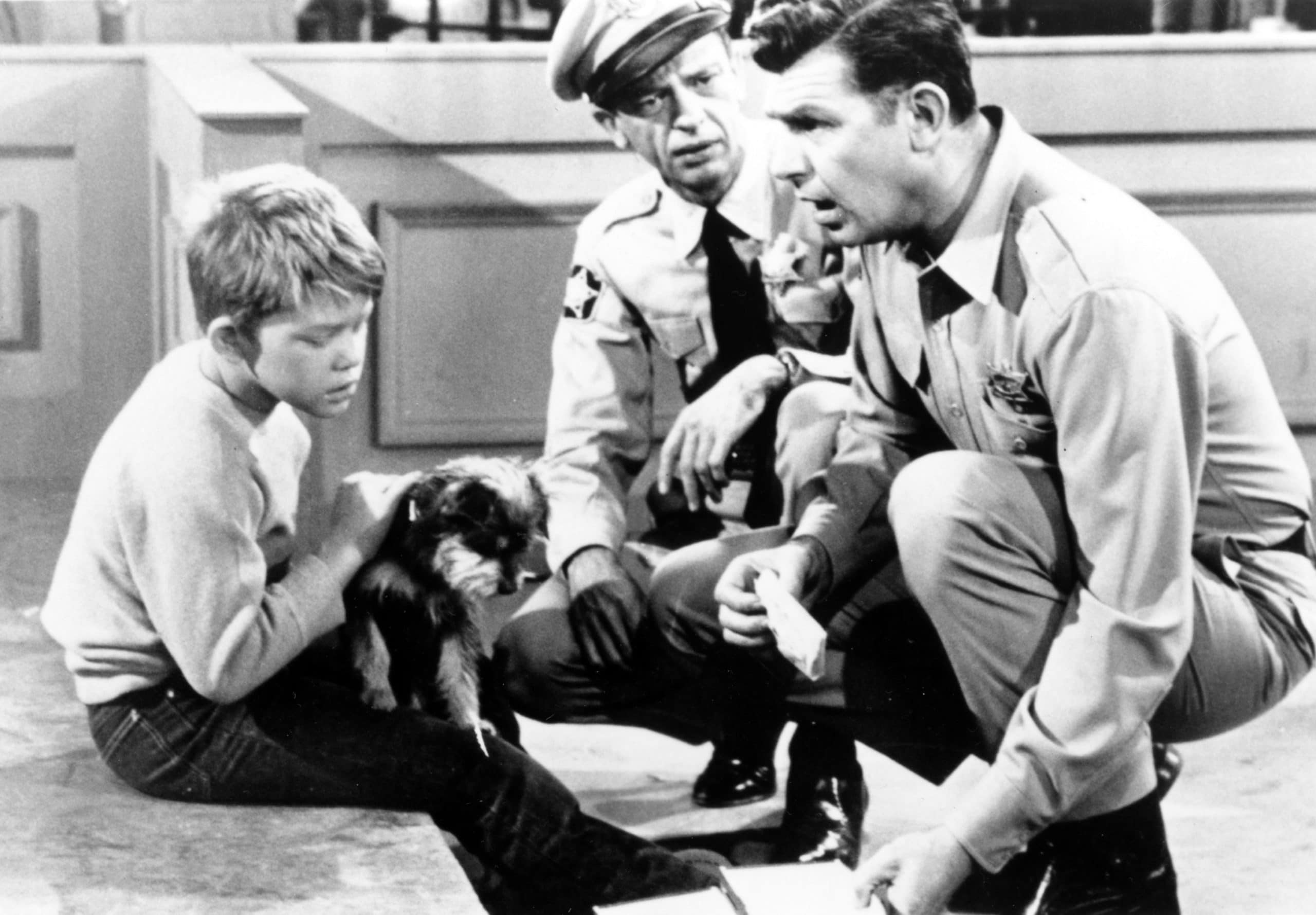 Ron Howard, Don Knotts, Andy Griffith