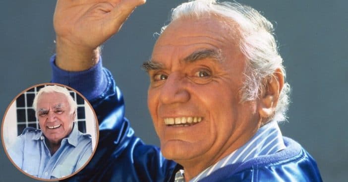 'Airwolf's Ernest Borgnine's Popularity Spanned Generations Until His Death At 95