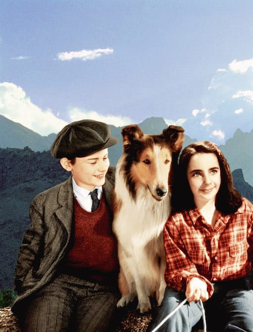 roddy-mcdowall-lassie-elizabeth-taylor