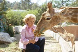 Betty White, feeding a giraffe, 1974