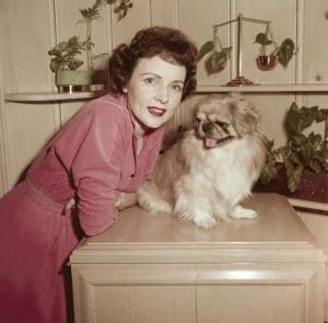 LIFE WITH ELIZABETH, from left: Betty White
