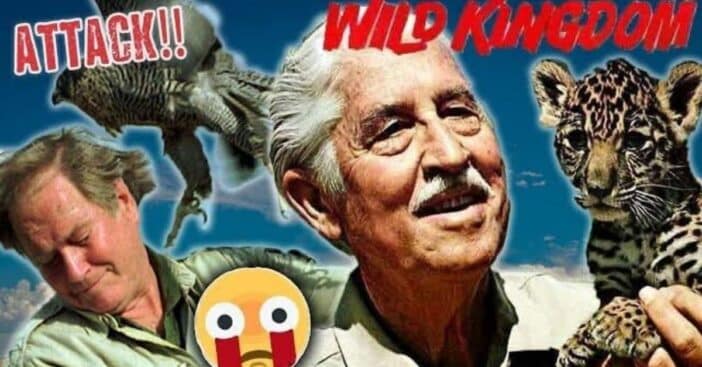 'Wild Kingdom's Empire Collapsed After This Happened