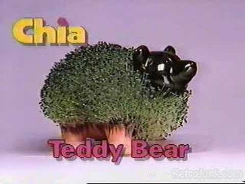 The original Chia Pet