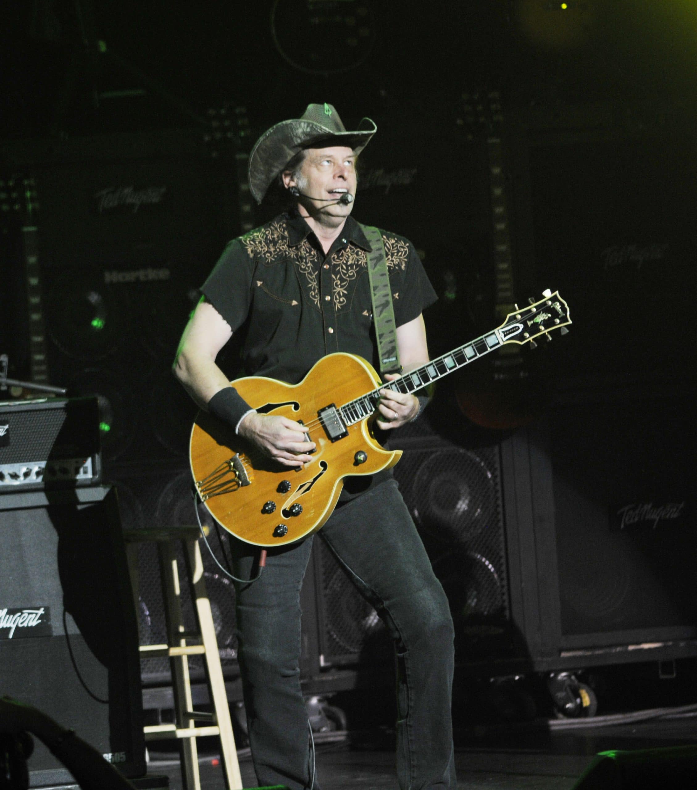 ted nugent performing 