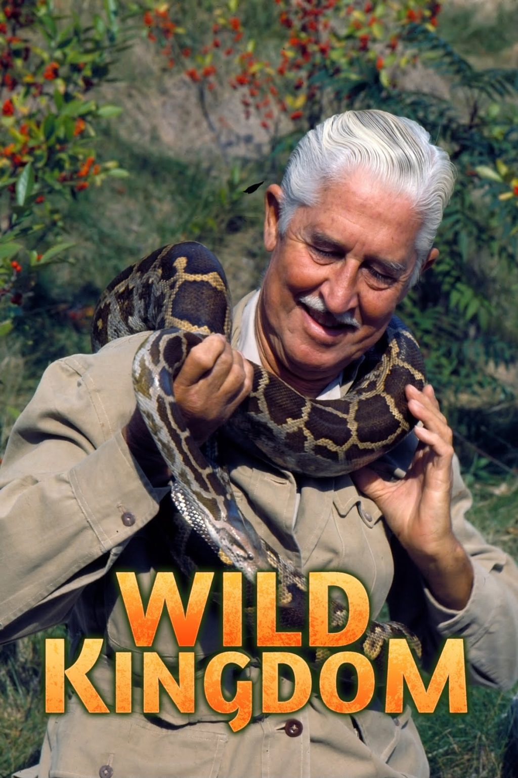 'Wild Kingdom's Empire Collapsed After This Happened