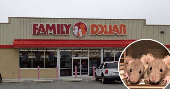 Family Dollar issues recall due to rodent infestation