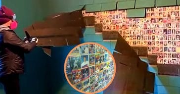 Hundreds of vintage baseball cards line the wall of this room