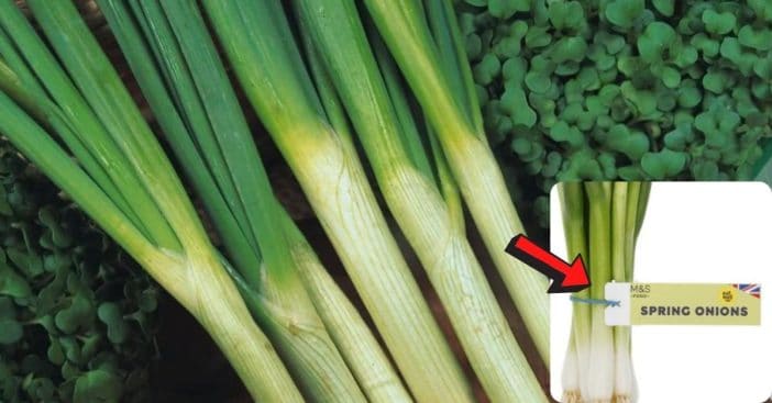 The Internet Is Having A Massive Debate Over What To Call This Vegetable