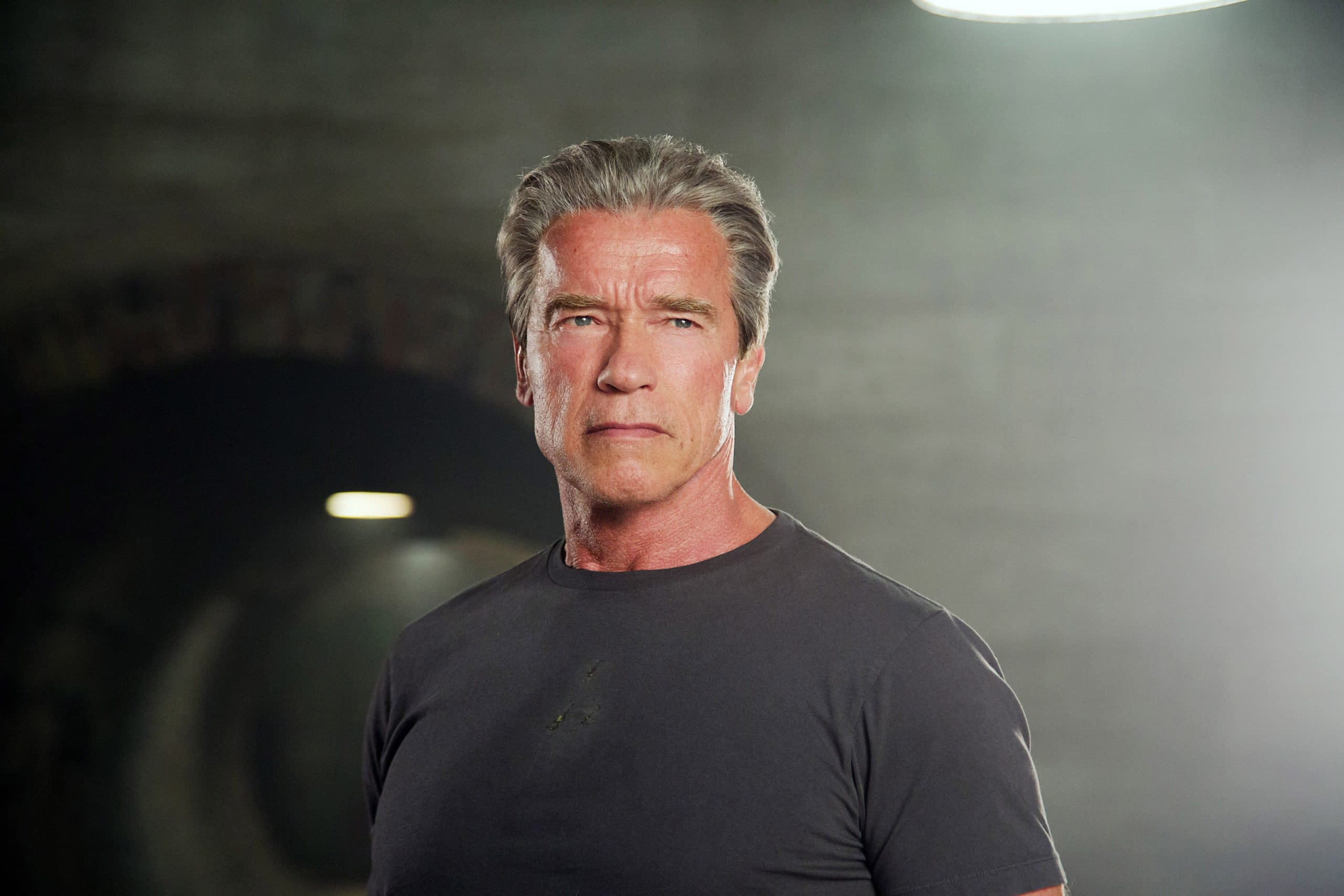 TERMINATOR GENISYS, Arnold Schwarzenegger, 2015