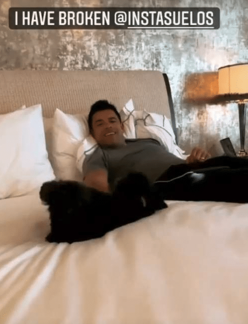 Mark Consuelos chills out in bed with Kelly Ripa and their dogs