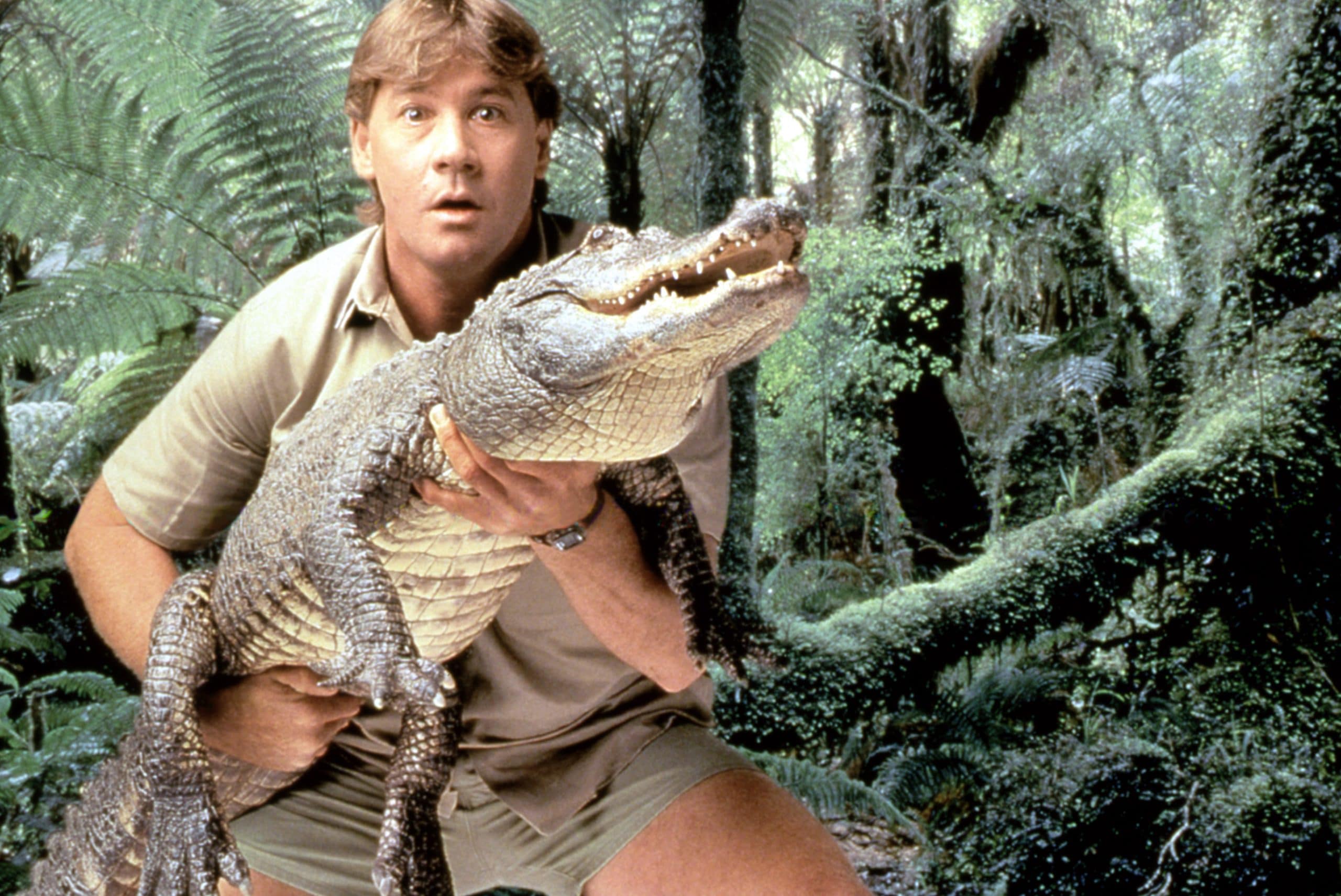 CROCODILE HUNTER, Steve Irwin with a crocodile, 1996-2006