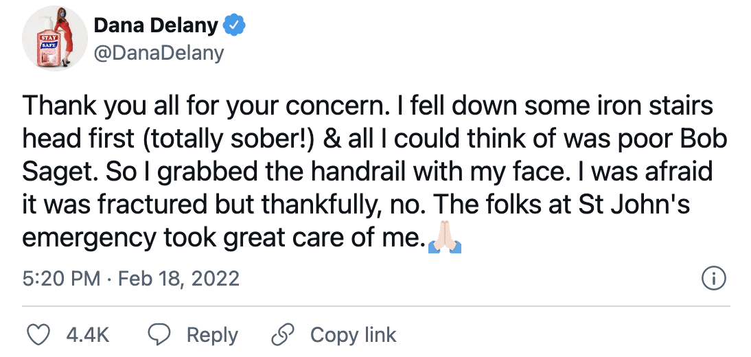 Tweet from Dana Delany about bad fall she endured