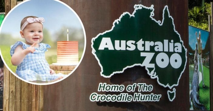 Australia Zoo is celebrating Grace Warriors first birthday