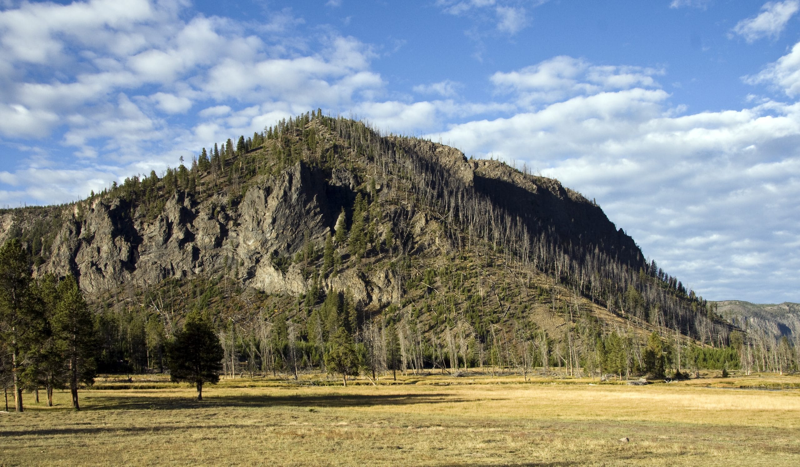 yellowstone national park mountains