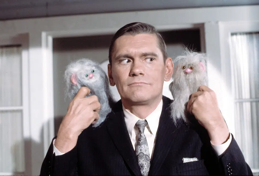dick-york-bewitched