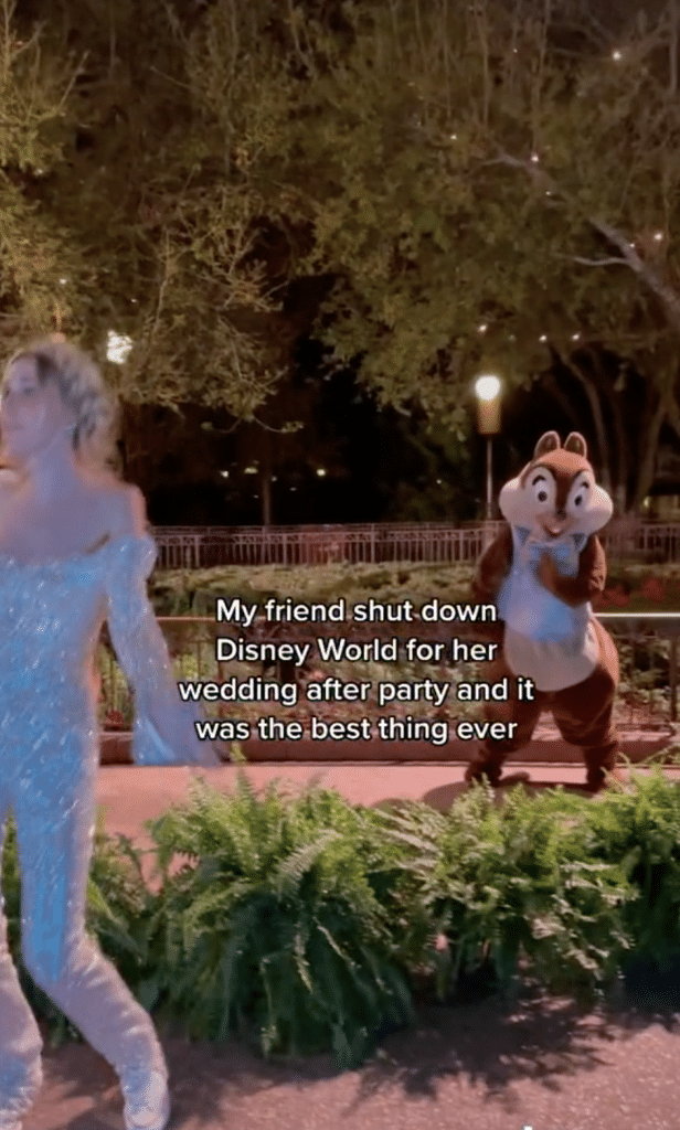 Entire Disney Park shuts down for wedding afterparty