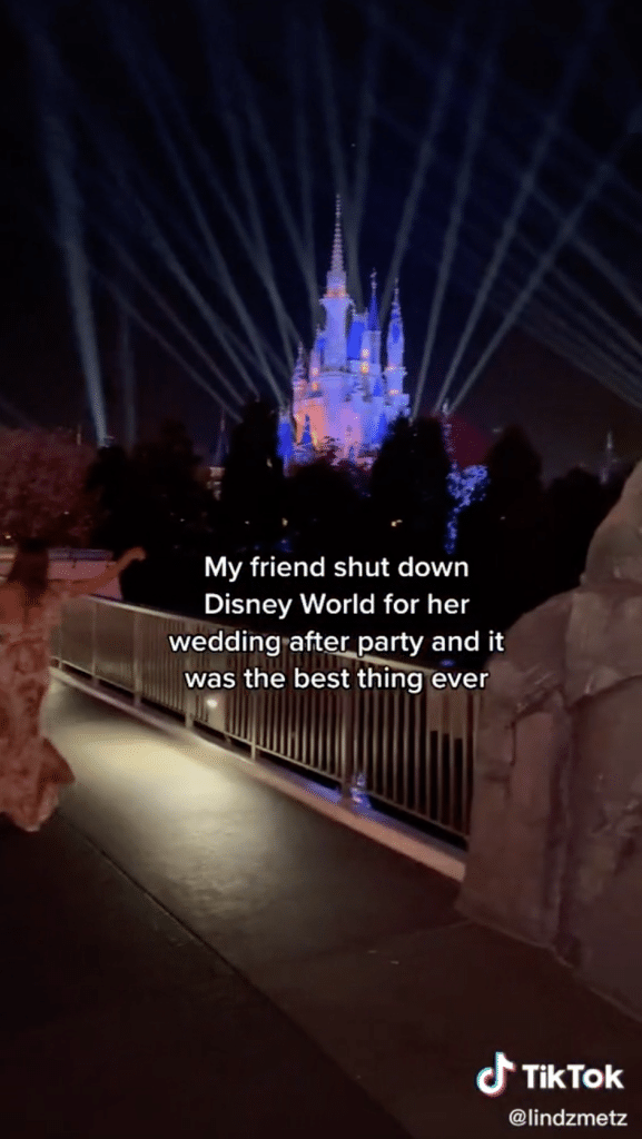 Entire Disney Park shuts down for wedding afterparty