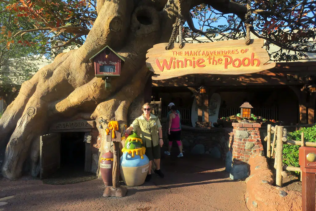 Winnie the Pooh ride disney world