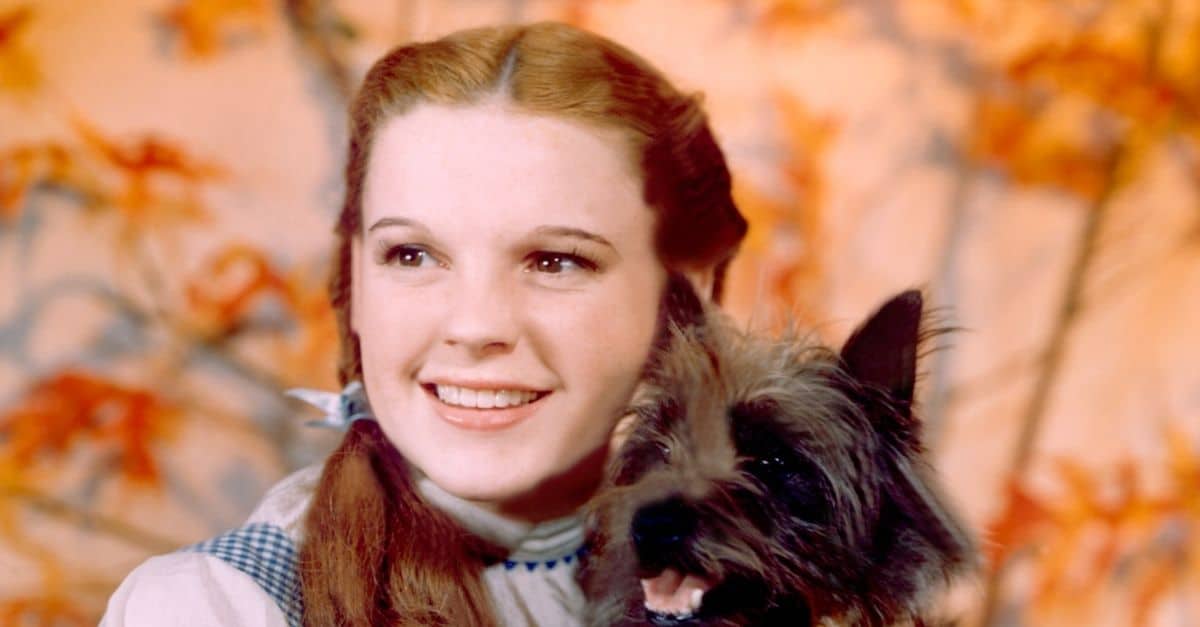 Judy Garlands ‘wizard Of Oz Dress Is Up For Auction 4224