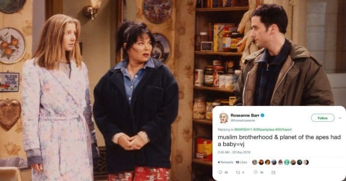 Roseanne Barr Slams ABC For Firing Her After Controversial Tweet