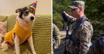US Soldier Reunites With Homeless Dog He Bonded With Overseas