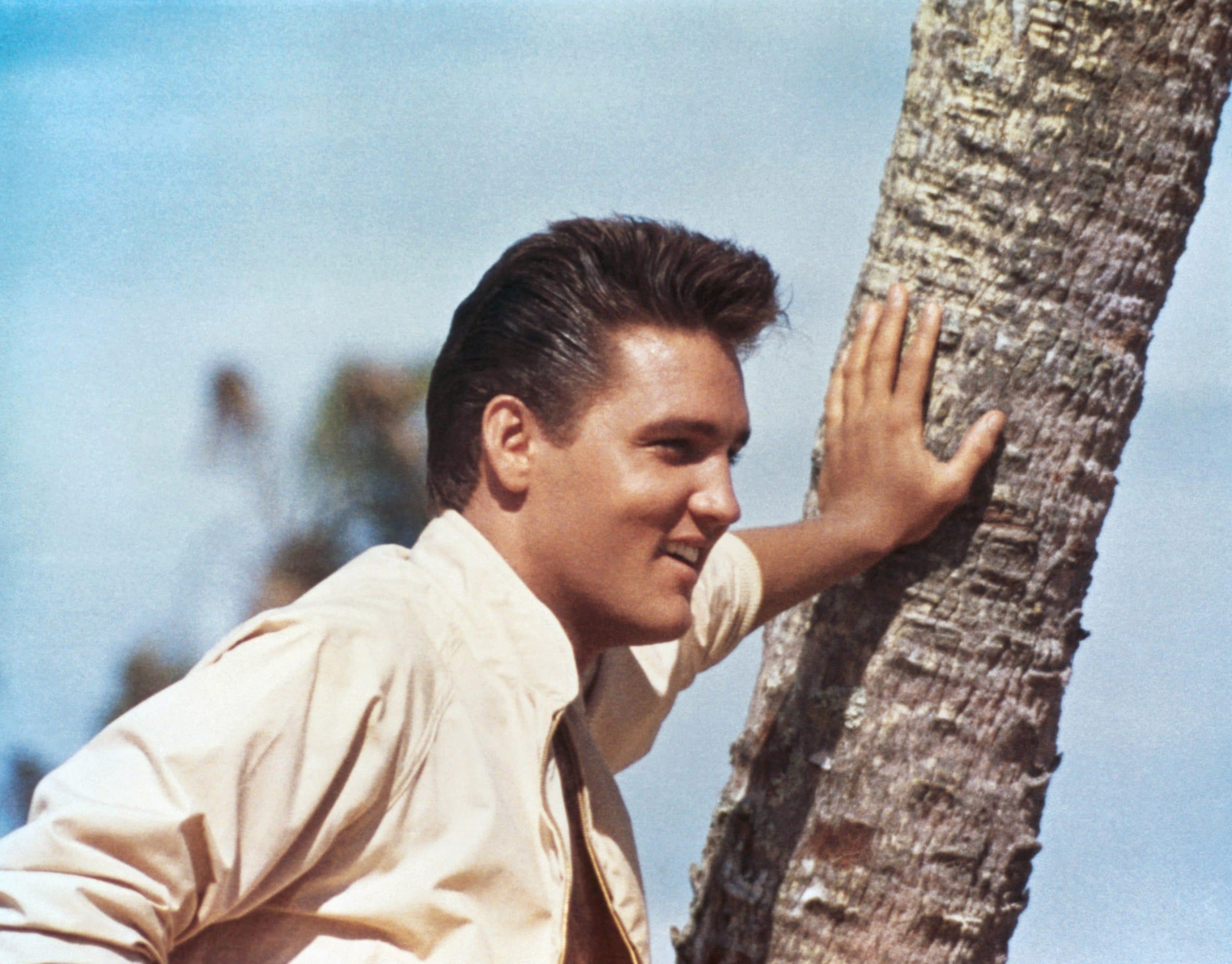 FOLLOW THAT DREAM, Elvis Presley, 1962