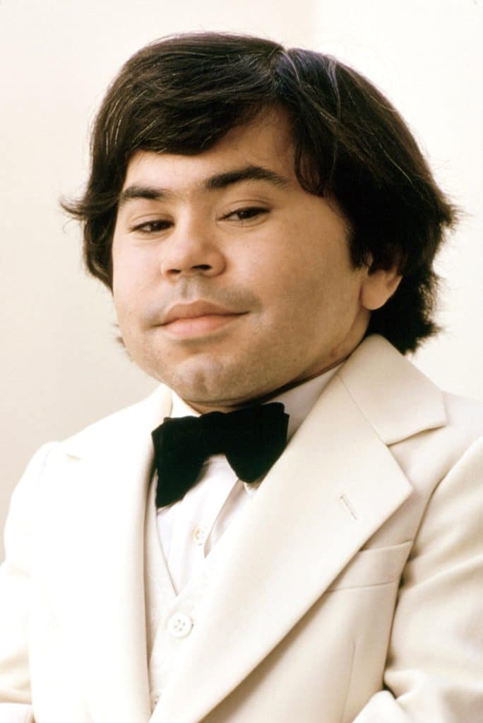 Herve Villechaize