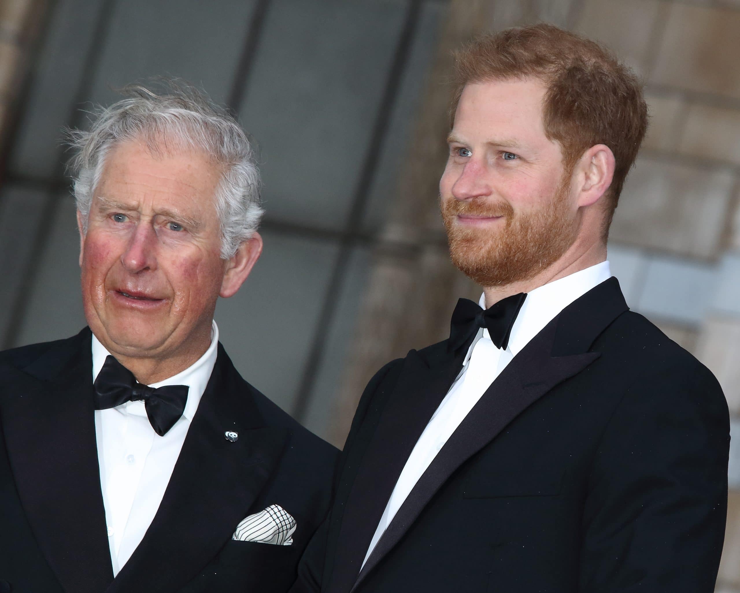 Prince Charles and Prince Harry