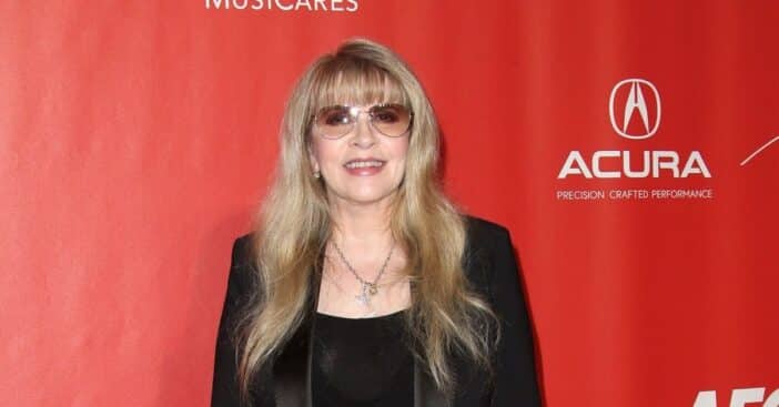 Stevie Nicks video