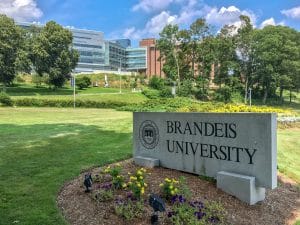 Brandeis University, which houses one of the oldest African and African American studies programs in the country