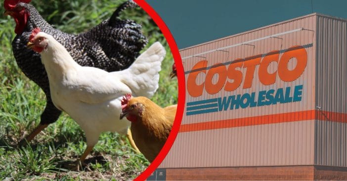 Costco is facing a lawsuit