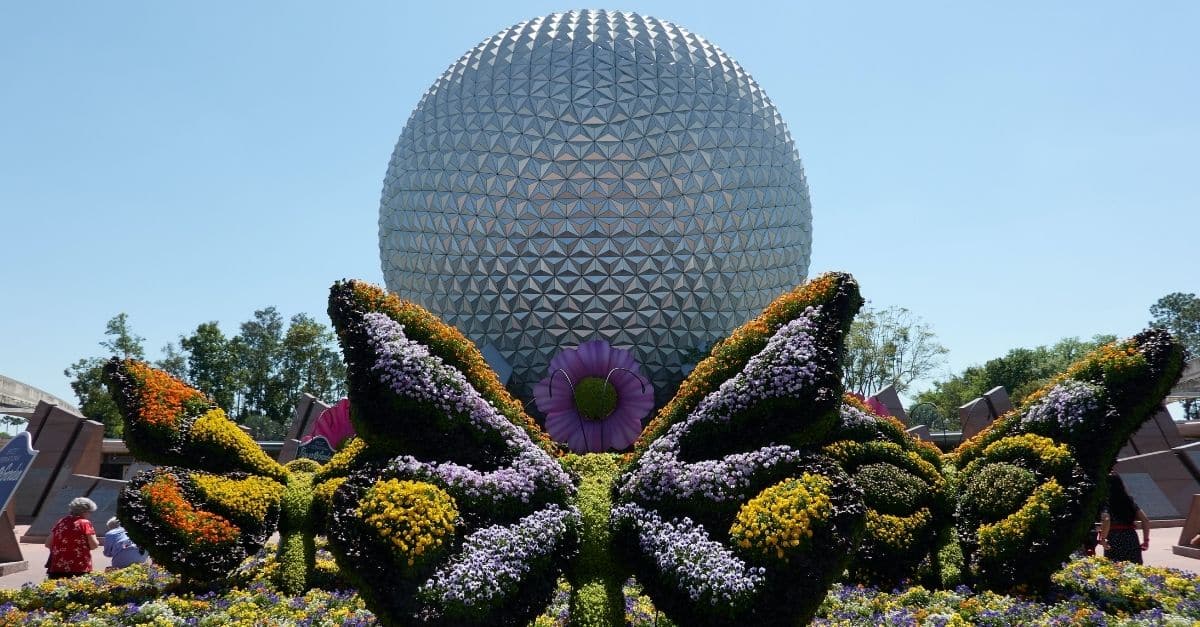 EPCOT Spoilt food