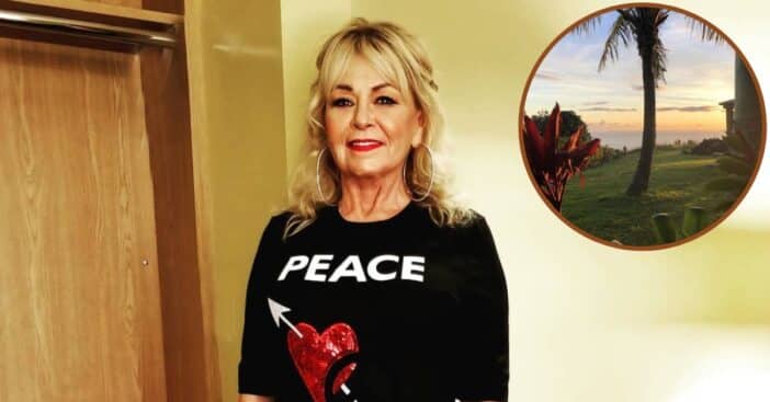 Roseanne Barr