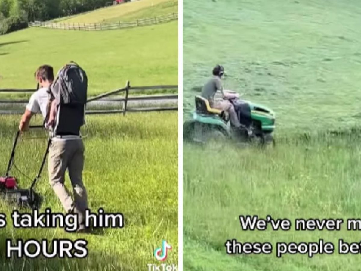 Lawn Mower Cutting Unevenly? The Reasons And How To Fix, 54 OFF