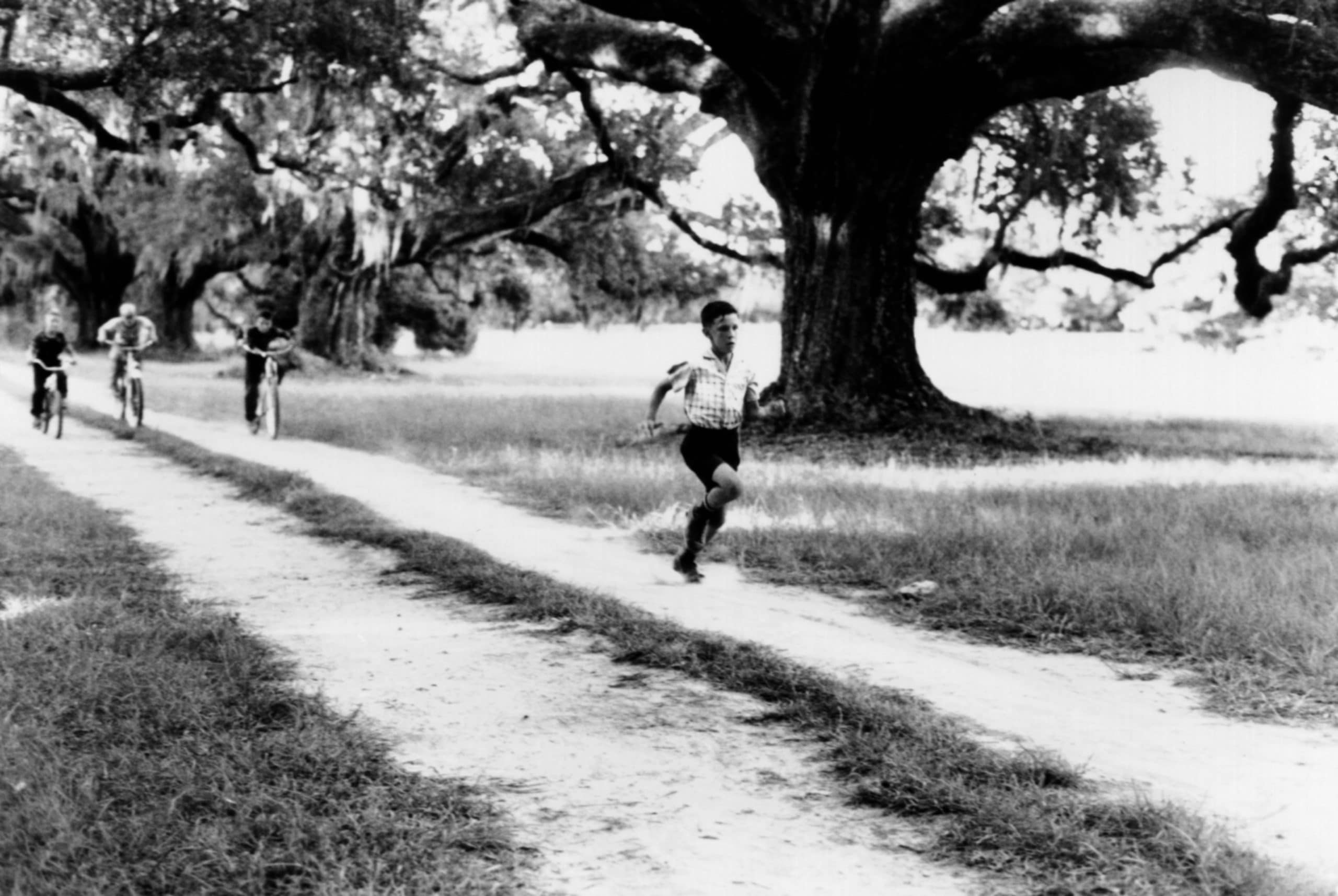 FORREST GUMP, Michael Conner Humphreys, 1994