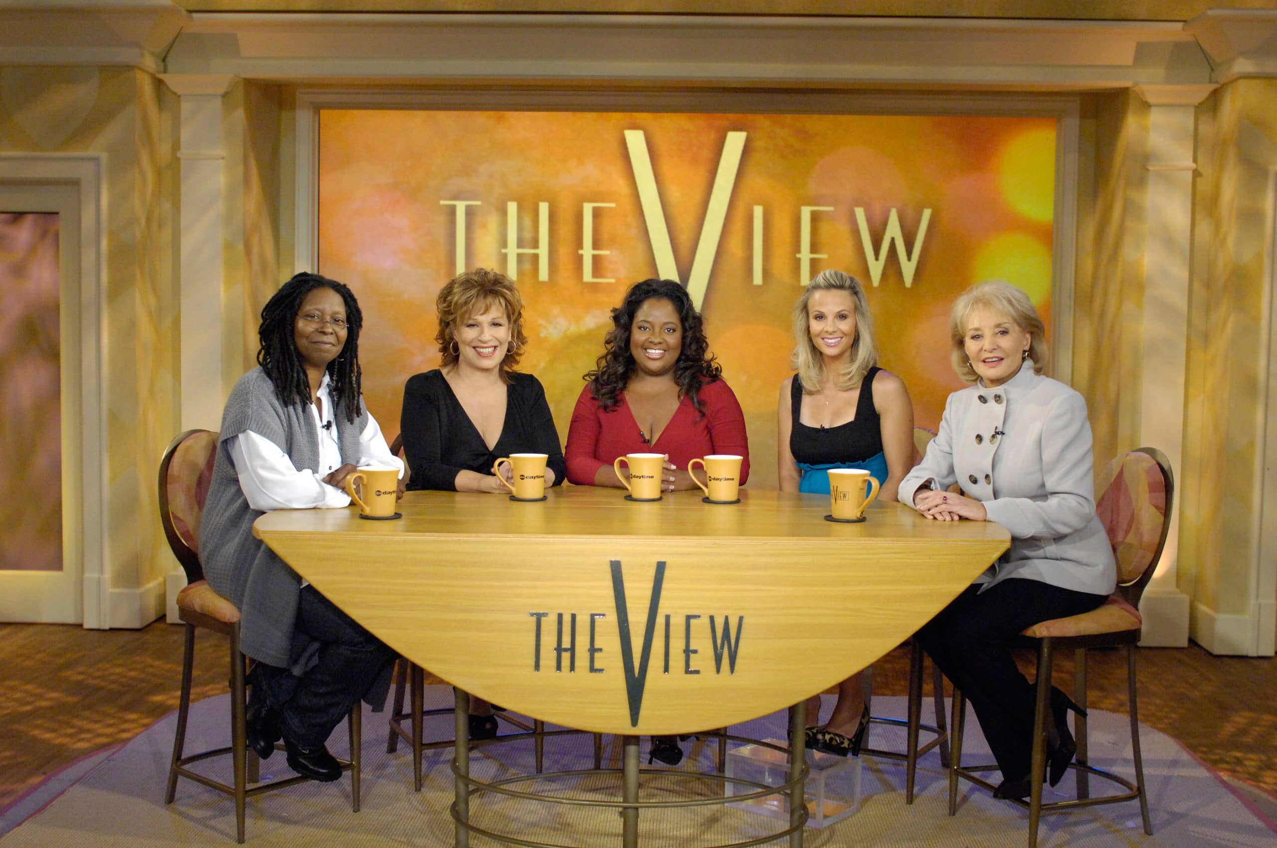 THE VIEW, Whoopi Goldberg, Joy Behar, Sherri Shepherd, Elisabeth Hasselbeck, Barbara Walters, (2007)
