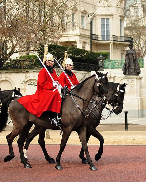 guards horses