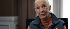jane goodall final message