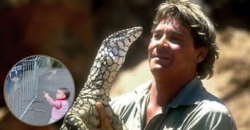 Bindi Irwin's Daughter Gets Excited When She Sees Photo Of Steve Irwin