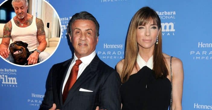 Jennifer Flavin reportedly divorced Sylvester Stallone over his new dog