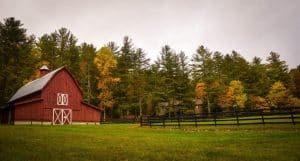 Farmers have had to focus on more hearty plants