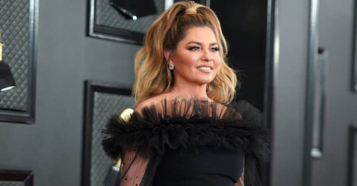 Shania Twain needed surgery but her voice remained at risk