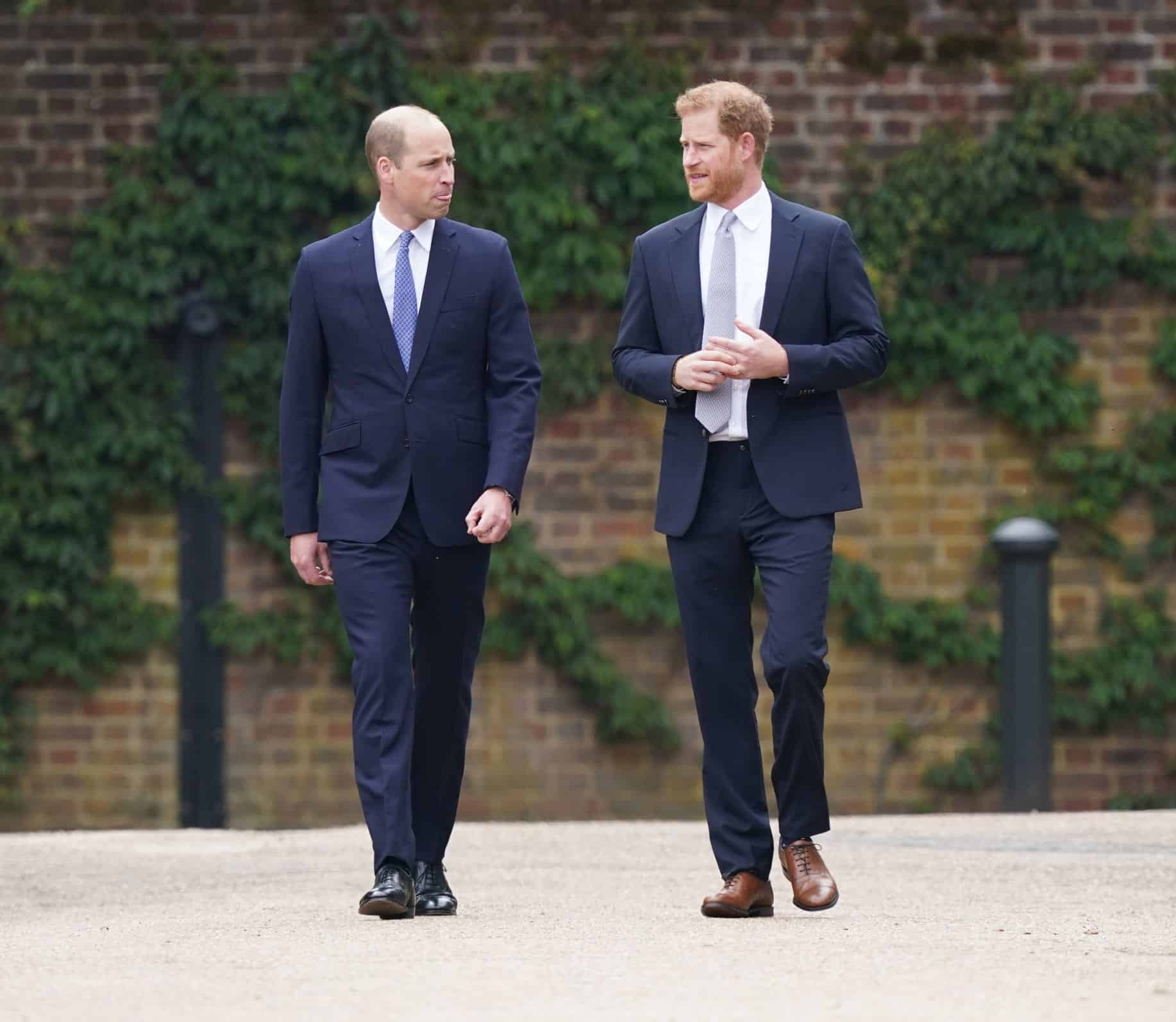 Prince William Duke of Cambridge and Prince Harry Duke of Sussex