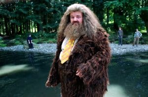 HARRY POTTER AND THE PRISONER OF AZKABAN, Robbie Coltrane